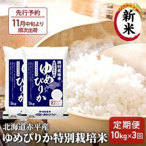 yӂ邳Ɣ[ŁzkCԕY ߂҂肩 10kg (5kg×2) ʍ͔| y3񂨓͂z  kC   ӂ邳Ɣ[ @͂F2025N11{菇o