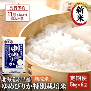 yӂ邳Ɣ[Łz kCԕY ߂҂肩 5kg ʍ͔| y6񂨓͂z  kC  ӂ邳Ɣ[ @͂F2025N11{菇o