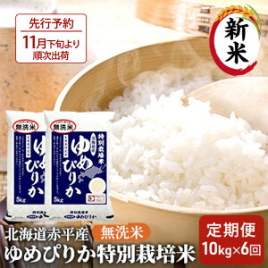 yӂ邳Ɣ[Łz kCԕY ߂҂肩 10kg (5kg×2) ʍ͔| y6񂨓͂z  kC  @͂F2025N11{菇o