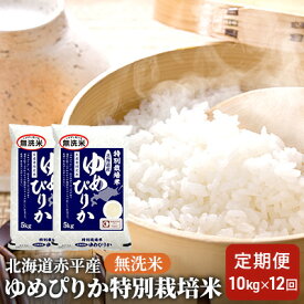 【ふるさと納税】無洗米 北海道赤平産 ゆめぴりか 10kg (5kg×2袋) 特別栽培米 【12回お届け】 米 北海道 定期便