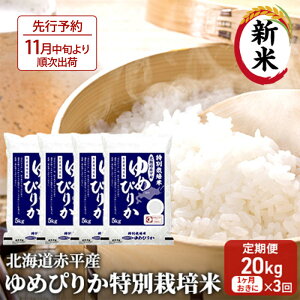 yӂ邳Ɣ[ŁzkCԕY ߂҂肩 20kg (5kg×4) ʍ͔| y13񂨓͂z  kC   @͂F2025N11{菇o