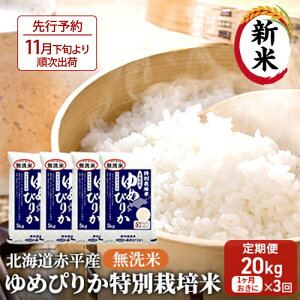 yӂ邳Ɣ[Łz kCԕY ߂҂肩 20kg (5kg×4) ʍ͔| y13񂨓͂z  kC   ӂ邳Ɣ[ @͂F2025N11{菇o
