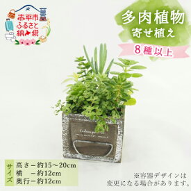 【ふるさと納税】多肉植物寄せ植え 8種以上　【 植物 多肉植物 8種以上 観葉植物 日当たりの良い インテリア おしゃれ 水差しセット 園芸 栽培 ベランダ 室内 】　お届け：2024年5月上旬～11上旬まで