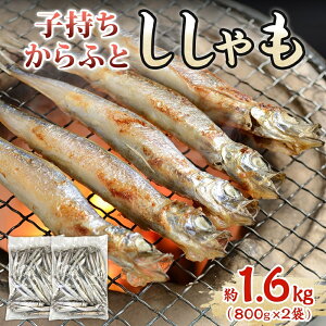 yӂ邳Ɣ[ŁzqӂƂ 1.6kg(800g×2)  VV X ܂ L  ʔ̓X   lC  l܂  t