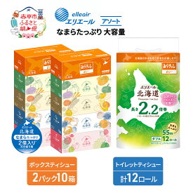 【ふるさと納税】エリエール 収納に便利 コンパクト 〈アソート〉 なまらたっぷり 大容量 トイレットペーパー ティッシュ トイレ ボックスティッシュ 防災 ひとり暮らし 紙 常備品 備蓄品 消耗品 日用品 生活必需品 送料無料　お届け：入金翌月中旬以降出荷