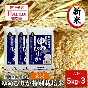 yӂ邳Ɣ[Łz kCԕY ߂҂肩 15kg (5kg×3) ʍ͔|  kC  ӂ邳Ɣ[Ł@͂F2025N11{珇o