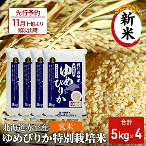 yӂ邳Ɣ[Łz kCԕY ߂҂肩 20kg (5kg×4) ʍ͔|  kC  ӂ邳Ɣ[Ł@͂F2025N11{珇o
