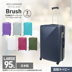 yӂ邳Ɣ[ŁzBrush kCJ[pbgn[hX[cP[X 95L LARGE_5801477 كlCr[ L[P[X  L[ ΂ obO Y { kC ԕs@͂Fyoוs