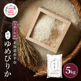 【ふるさと納税】令和7年産 北海道 赤平産 ゆめぴりか 5kg 白米 精米 米 北海道 ごはん ご飯 ライス おにぎり　お届け：2025年11月初旬より順次出荷