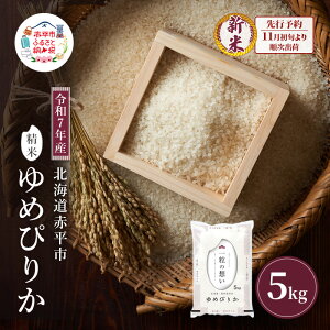 yӂ邳Ɣ[Łzys\zߘa7NY kC ԕY ߂҂肩 5kg    kC ͂  CX ɂ@͂F2025N11{菇o