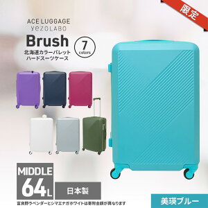yӂ邳Ɣ[ŁzԌ聚Brush kCJ[pbgn[hX[cP[X 64L MIDDLE_No.5801377 lu[ L[P[X  L[ ΂ obO Y { kC ԕs@͂F