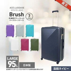 yӂ邳Ɣ[ŁzԌ聚Brush kCJ[pbgn[hX[cP[X 95L LARGE_5801477 كlCr[ L[P[X  L[ ΂ obO Y { kC ԕs@͂Fy