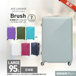 yӂ邳Ɣ[ŁzԌ聚Brush kCJ[pbgn[hX[cP[X 95L LARGE_5801477 ڈΔ~JO[ L[P[X  L[ ΂ obO Y { kC ԕs@͂F