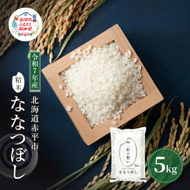 【ふるさと納税】令和7年産 北海道 赤平産 ななつぼし 5kg 白米 精米 米 北海道 ごはん ご飯 ライス おにぎり　お届け：2025年11月初旬より順次出荷
