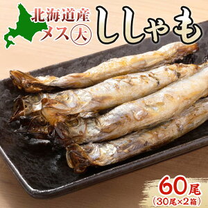 yӂ邳Ɣ[ŁzkCY X 60(30×2) kC H  VV X ܂ L CN  { lC   t ̂ |  傫 O y 