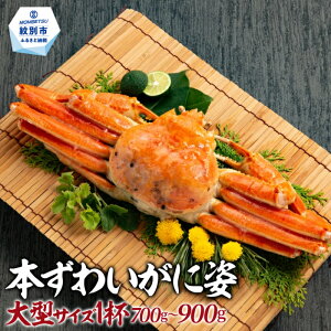 yӂ邳Ɣ[Łz18-106 {킢Ɏp ^TCY1tb {CYCKj YCKj I Kj Jj t l䥂 JjX  Ԃ O v[g Mtg CN CNHi ӂ邳Ɣ[