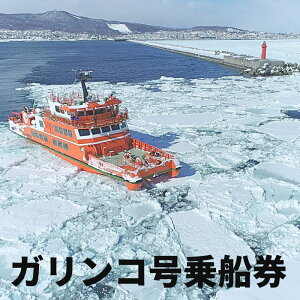 【ふるさと納税】14-96 ガリンコ号3 IMERU 冬期運航 流氷クルーズ乗船券