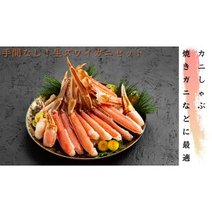 yӂ邳Ɣ[Łz18-111 ԂȂIɏ㐶킢ɃZbg900g(Jbgς)
