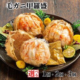 【ふるさと納税】毛がに甲羅盛 殻剥き不要！ 毛ガニの美味しいところだけをイイとこどり | 毛蟹 けがに カニミソ かにみそ かに味噌 カニ味噌 フレークほぐし身 剥き身 北海道 オホーツク hokkaido アザラシ 甲羅盛 甲羅盛り 蟹 カニ かに