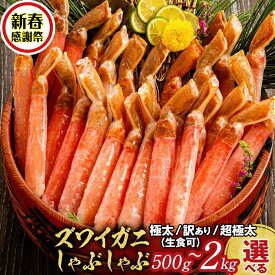 【ふるさと納税】【新春感謝祭】厳選部位のみ 本ズワイガニ しゃぶしゃぶ 大 訳あり | わけあり 訳アリ ワケアリ 生食 お刺身 かにしゃぶ 蟹しゃぶ 鍋 カニ鍋 天ぷら グラタンむき身 剥き身 棒肉 雑炊 北海道 hokkaido 生食可 刺身 ズワイ