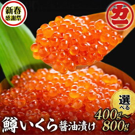 【ふるさと納税】【新春感謝祭】鱒いくら醤油漬け | 選べる 小分け イクラ いくら 鱒卵 マス ます 醤油漬け しょうゆ漬け ご飯の友 海鮮食品 おかず 惣菜 お取り寄せグルメ 冷凍 お寿司 手巻き寿司 どんぶり パーティー 北海道 紋別市 アザラシ i