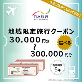 【ふるさと納税】北海道 紋別市 日本旅行 地域限定旅行クーポン ｜ 選べる 旅行券 観光地 ガリンコ号 アザラシ 流氷 カニの爪 オホーツク海 旅券 航空券 宿泊券 パックツアー