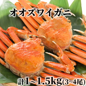 【ふるさと納税】17-203 北海道産 ボイルオオズワイガニ姿 計1〜1.5kg内外(3〜4尾)