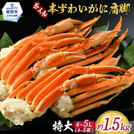 【ふるさと納税】21-66 【特大4L〜5L】ボイル本ずわいがに肩脚　4〜5肩(約1.5kg) | ズワイガニ お刺身 かにしゃぶ 蟹しゃぶ カニ鍋 雑炊 パーティー 北海道 オホーツク hokkaido アザラシ