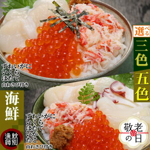 yӂ邳Ɣ[ŁzOF ܐF CN Zbg | hV̓ hV hVMtg Mtg 蕨  Iׂ ϔ ϔ CN kC 킢 킢 YCKj 킢I  Jj I z^