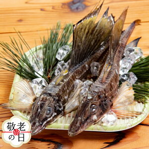 yӂ邳Ɣ[ŁzIz[cNpۊ1kg | hV̓ hV hVMtg Mtg 蕨 
