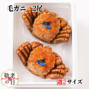 yӂ邳Ɣ[ŁzуKj 2 | hV̓ hV hVMtg Mtg 蕨  Iׂ ъI  Jj I p O v[g Mtg ӂ邳Ɣ[ [ kC ʎs