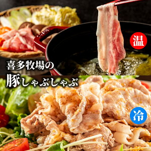 yӂ邳Ɣ[Łz13-250 쑽q̂ԂԃZbg