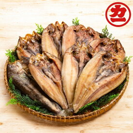 【ふるさと納税】15-265 どどーんと8枚！しまほっけ一夜干しセット