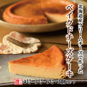 yӂ邳Ɣ[ŁzCafe ق̍ xCNh`[YP[L | Iׂ 5 6 `[YP[L Ƃ l I[KjbN Zbg P[L XC[c َq َq  O v[g Mtg ӂ