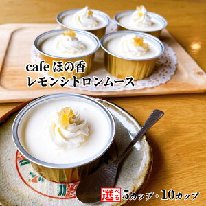yӂ邳Ɣ[ŁzCafe ق̍ Vg [X 5Jbv 10Jbv Iׂ |  n`~c I ݂͂ Î_ς N[ I[KjbN Zbg JbvP[L P[L XC[c 