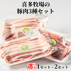 yӂ邳Ɣ[Łz쑽q ؓ 3 Zbg | Iׂ  kC q  ؓ  Y Y ؃[X [X [X ؃o o XCX ē IĂ ؘ o[xL[ BBQ O