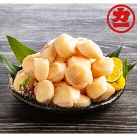 【ふるさと納税】オホーツク産 ほたて 貝柱 1kg | 帆立 ホタテ 玉冷 特大 特大サイズ