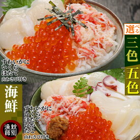 【ふるさと納税】三色 五色 海鮮 セット | 選べる 化粧箱入り 化粧箱 海鮮丼 北海道 ずわい ずわいがに ズワイガニ ずわい蟹 かに カニ 蟹 ホタテ ほたて 帆立 いくら イクラ いくら醤油漬 いか たこ 山わさび 山葵 グルメ 海鮮 ギフト ふる
