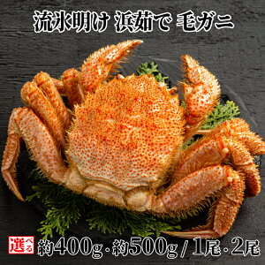 yӂ邳Ɣ[ŁzX l уKj | Iׂ ъI т Jj~\ ɂ݂ IX 1 2 kCY Zbg O v[g Mtg CN CNHi ӂ邳Ɣ[ [ kC ʎs