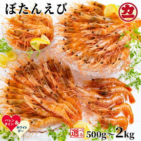 【ふるさと納税】ぼたんえび | ホワイトデー WD ギフト 贈り物 贈答 選べる 小分け えび エビ 海老 ボタンエビ ぼたん海老 刺身 お刺身 お寿司 冷凍 グルメ 串焼き 手巻き寿司 海鮮丼 北海道 hokkaido アザラシ