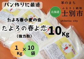 【ふるさと納税】（北海道士別市）たよろの春よ恋（強力粉）1kg×10袋