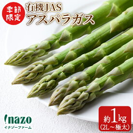 【ふるさと納税】＜季節限定＞有機JASアスパラガス(約1kg・2L～極太) 【先行予約受付中・2026年4月中旬頃から順次発送】期間限定 アスパラ グリーンアスパラ 旬 野菜 【イナゾーファーム】