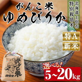 【ふるさと納税】＜令和8年産 新米 先行予約！＞《選べる内容量》田舎塾特別栽培米「がんこ米ゆめぴりか」(5kg～20kg) 【2026年10月上旬以降順次発送】 米 お米 白米 北海道産 北海道米 ゆめぴりか 特A 一等級 ごはん おこめ コメ 単一原料米 新米 【田舎塾】