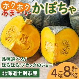 【ふるさと納税】＜品種と容量が選べる＞北海道士別産 かぼちゃ ブラックのジョー/ほろほろ (4kg～8kg)【9月下旬以降/10月中旬以降 準備ができ次第発送】北海道産 国産 カボチャ 南瓜 野菜 煮物 サラダ 天ぷら 甘い 味覚の秋 【吉方農園】