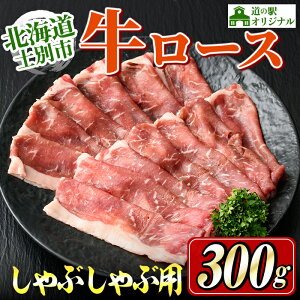 yӂ邳Ɣ[ŁzkCmʎsY [X Ԃ p (300g×1P)     [X Ԃ  kCY Ⓚ ӌ ͂  y܂Âmʁz