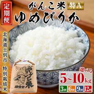 yӂ邳Ɣ[Łzߘa7NY s\IsIׂցItcɏmʍ͔|āu񂱕Ă߂҂肩v(5kg~10kgE3 / 6 / 9 / 12) y2025N10{ȍ~z    kCY