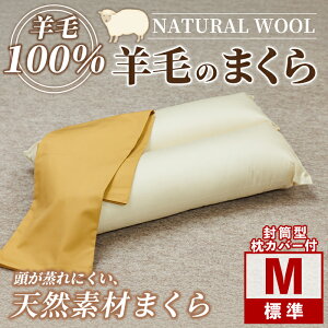 yӂ邳Ɣ[Łz_r100^sAE[  (MTCY) Q  ܂ r E[  cC[ Ђ J[{j[g  yQ̈z