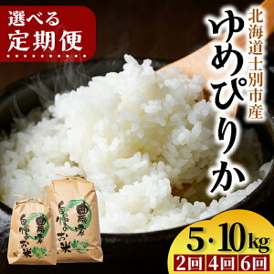 yӂ邳Ɣ[Łzs񐔂Iׂցt mʐ ߂҂肩 (5kgE10kg)     kC ͂ ߂҂肩 kCY mʎY 5kg 10kg 20kg 30kg 40kg 60kg  yT&Mz