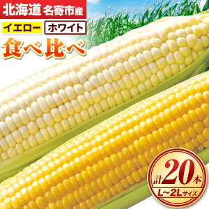 yӂ邳Ɣ[Łzy2026Noׁz kCYzCgR[XC[gR[CG[Hה׃Zbg L`2LTCYe5{v10{ or 20{s2026N8{-9{oׁtNPO@lȂό܂