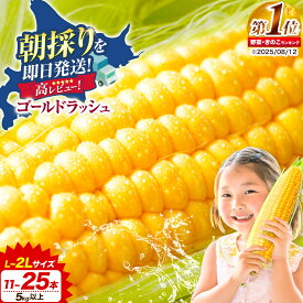 【ふるさと納税】先行予約 極甘 ゴールドラッシュ とうもろこし 選べる2サイズ 5kg/8.5kg 北海道 名寄市産 朝採り 産地直送 生で食べられる なよろイエロー 特大 ジューシー 焼きとうもろこし コーンスープ BBQ 送料無料 楽天スーパーSALE 《2026年8月上旬-9月中旬頃出荷》